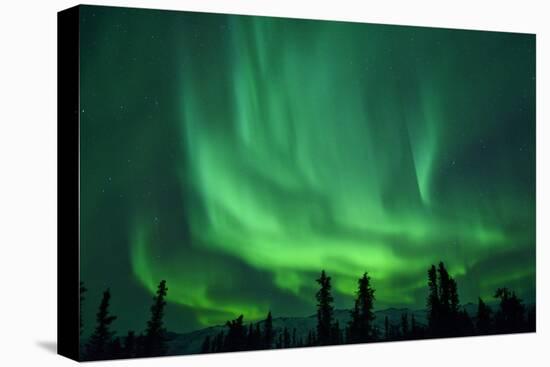 Aurora Borealis at Chena Hot Springs, Fairbanks, Alaska, Usa-Christian Heeb-Premier Image Canvas