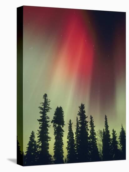 Aurora Borealis, Fairbanks Area, Alaska, USA-Kevin Schafer-Premier Image Canvas