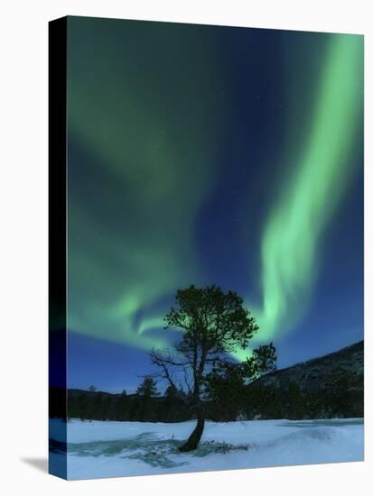 Aurora Borealis, Forramarka, Troms, Norway-Stocktrek Images-Premier Image Canvas