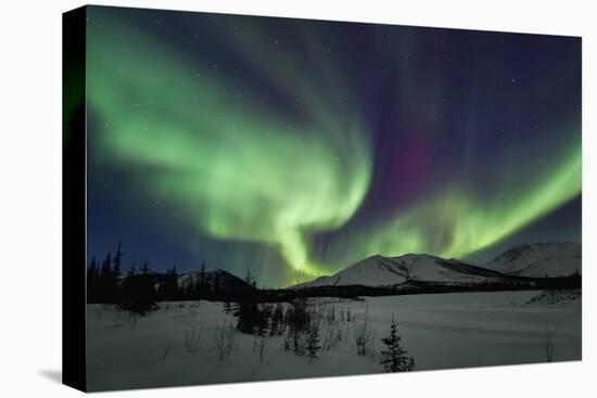 Aurora Borealis I-Larry Malvin-Premier Image Canvas