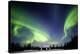 Aurora Borealis In Alaska-Chris Madeley-Premier Image Canvas