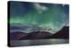 Aurora Borealis in Full Moon-Belinda Shi-Premier Image Canvas