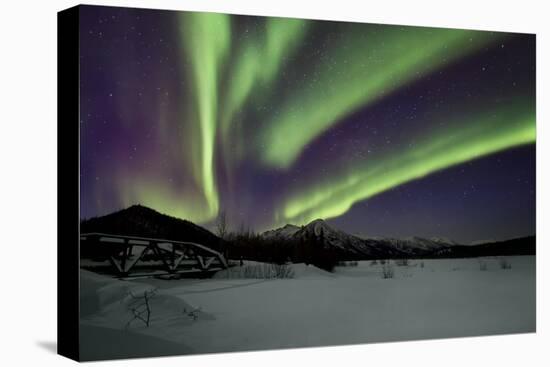 Aurora Borealis IV-Larry Malvin-Premier Image Canvas