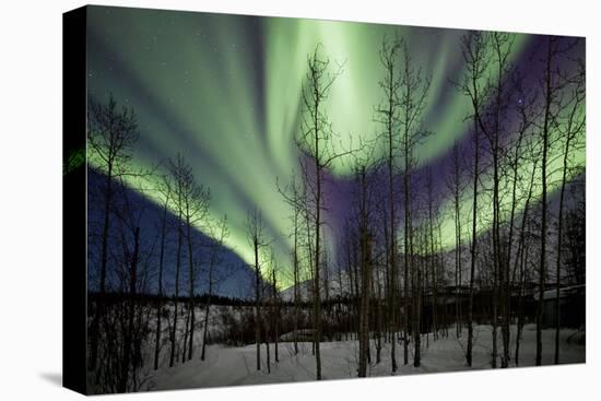 Aurora Borealis IX-Larry Malvin-Premier Image Canvas