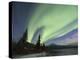 Aurora Borealis, Koyukuk River, Alaska, USA-Hugh Rose-Premier Image Canvas