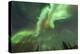 Aurora borealis, near Fairbanks, Alaska-Stuart Westmorland-Premier Image Canvas