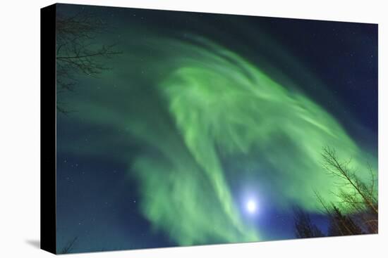 Aurora borealis, Northern Lights, near Fairbanks, Alaska-Stuart Westmorland-Premier Image Canvas