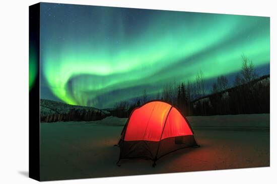 Aurora borealis, northern lights near Fairbanks, Alaska-Stuart Westmorland-Premier Image Canvas