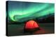 Aurora borealis, northern lights near Fairbanks, Alaska-Stuart Westmorland-Premier Image Canvas