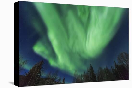 Aurora borealis, Northern Lights, near Fairbanks, Alaska-Stuart Westmorland-Premier Image Canvas