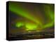 Aurora Borealis (Northern Lights) Seen over the Lyngen Alps, from Sjursnes, Ullsfjord, Troms, North-Neale Clark-Premier Image Canvas