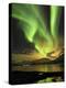 Aurora Borealis, Northern Lights, Troms Region, Norway-Gavin Hellier-Premier Image Canvas