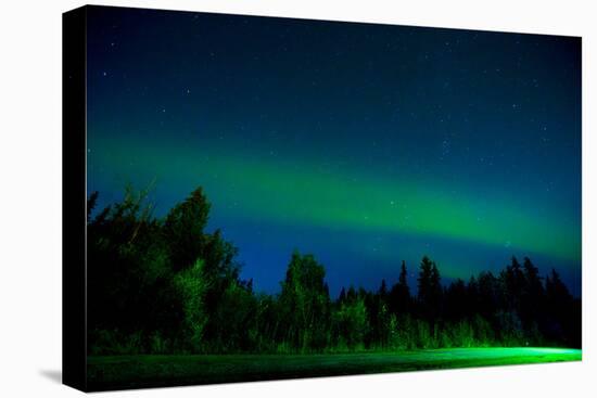 Aurora Borealis (Northern Lights) viewed from Denali Princess Wilderness Lodge, Alaska, USA-Laura Grier-Premier Image Canvas