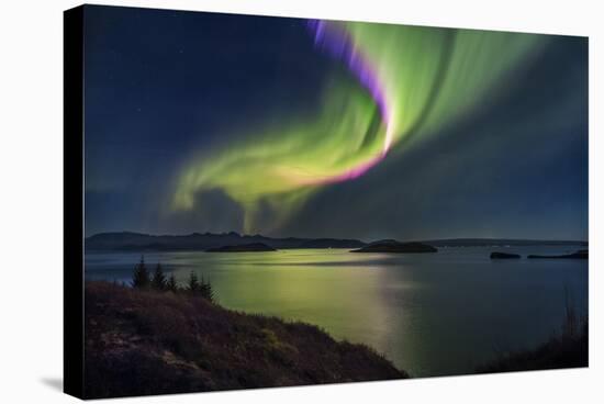 Aurora Borealis or Northern Lights, Iceland-Arctic-Images-Premier Image Canvas