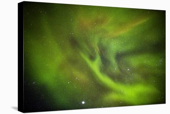 Aurora Borealis or Northern Lights, Lapland, Sweden-Arctic-Images-Premier Image Canvas