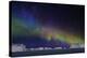 Aurora Borealis or Northern Lights over Icebergs-Arctic-Images-Premier Image Canvas