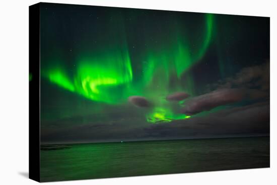 Aurora Borealis or Northern Lights, Reykjavik, Iceland-null-Premier Image Canvas