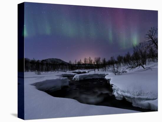 Aurora Borealis over Blafjellelva River in Troms County, Norway-Stocktrek Images-Premier Image Canvas