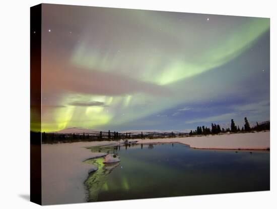 Aurora Borealis Over Creek by Fish Lake, Whitehorse, Yukon, Canada-Stocktrek Images-Premier Image Canvas