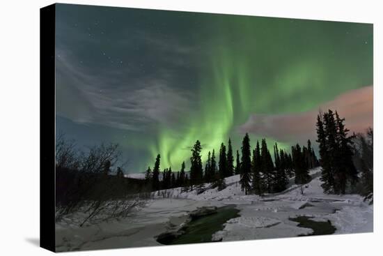 Aurora Borealis over Creek, Yukon, Canada-null-Premier Image Canvas