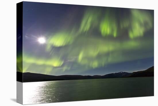 Aurora Borealis over Fish Lake, Yukon, Canada-null-Premier Image Canvas