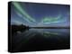Aurora Borealis Over Long Lake, Northwest Territories, Canada-Stocktrek Images-Premier Image Canvas