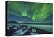 Aurora Borealis over the Ice Beach Near Jokulsarlon, Iceland-null-Premier Image Canvas