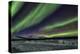 Aurora Borealis V-Larry Malvin-Premier Image Canvas