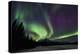 Aurora Borealis VI-Larry Malvin-Premier Image Canvas