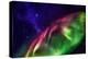 Aurora Borealis with the Milky Way Galaxy.-Arctic-Images-Premier Image Canvas