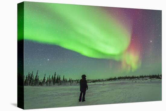 Aurora Borealis with Vega and Arcturus Stars over Churchill, Manitoba, Canada-Stocktrek Images-Premier Image Canvas