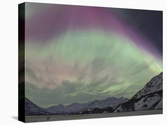 Aurora Borealis, Wrangell Mountains, Alaska, USA-Hugh Rose-Premier Image Canvas