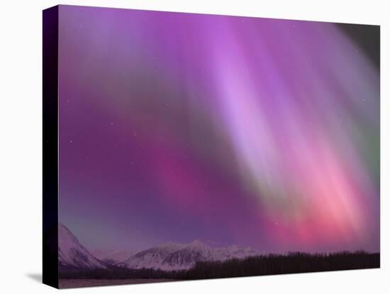 Aurora Borealis, Wrangell Mountains, Alaska, USA-Hugh Rose-Premier Image Canvas