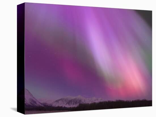 Aurora Borealis, Wrangell Mountains, Alaska, USA-Hugh Rose-Premier Image Canvas