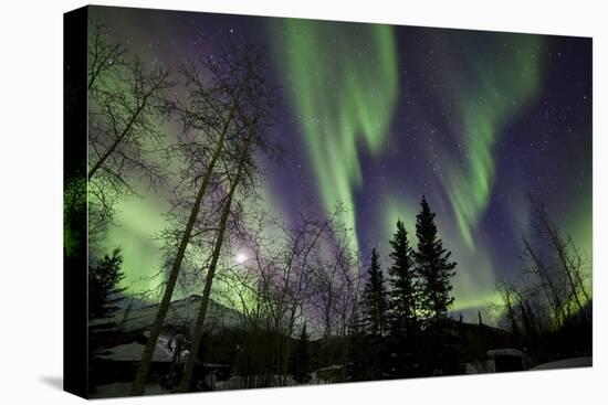 Aurora Borealis X-Larry Malvin-Premier Image Canvas