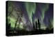 Aurora Borealis X-Larry Malvin-Premier Image Canvas