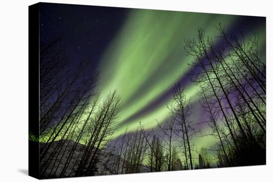 Aurora Borealis XI-Larry Malvin-Premier Image Canvas