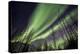 Aurora Borealis XI-Larry Malvin-Premier Image Canvas