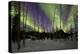 Aurora Borealis XII-Larry Malvin-Premier Image Canvas