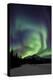 Aurora Borealis XIII-Larry Malvin-Premier Image Canvas