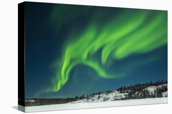 Aurora Borealis, Yellowknife, Northwest Territories, Canada.-Michael DeFreitas-Premier Image Canvas