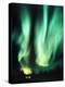 Aurora Borealis-Chris Madeley-Premier Image Canvas