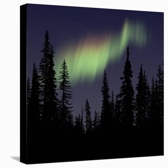 Aurora Borealis-Mark Taylor-Premier Image Canvas