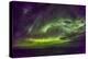 Aurora Borealis-Michael Nolan-Premier Image Canvas