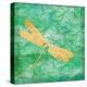 Aurora Dragonfly-Paul Brent-Stretched Canvas