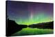Aurora (Northern Lights) reflected in Lower Kananaskis Lake, Peter Laugheed Provincial Park, Canada-Miles Ertman-Premier Image Canvas