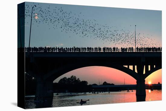 Austin Congress Aveue Bridge-null-Stretched Canvas