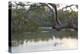 Australia, New South Wales, Sydney suburb Lugarno. Kayakers on peaceful Georges River-Trish Drury-Premier Image Canvas