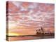 Australia, New South Wales, Sydney, Sydney Opera House, Boat in Harbour at Sunrise-Shaun Egan-Premier Image Canvas