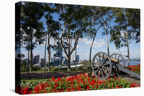 Australia, Perth. Kings Park. Fraser Avenue, Lemon Scented Gum Tree-Cindy Miller Hopkins-Premier Image Canvas